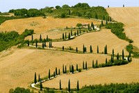 The famous winding road with cypresses from la Foce to Castelluccio, near Siena (Tuscany, Italy) at summer .jpg